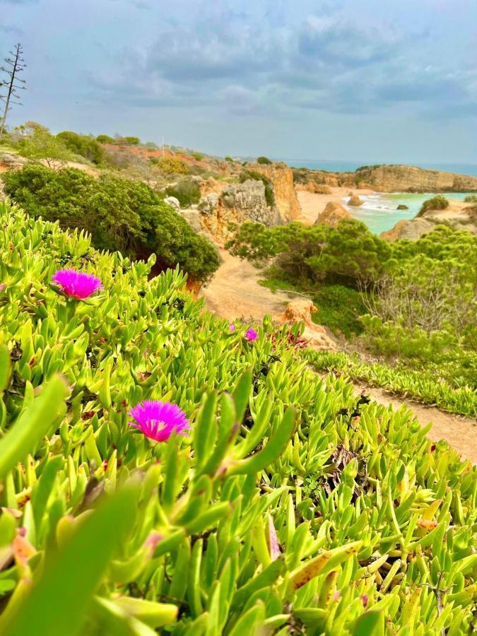 Marina Zen Apartment - Orada, Albufeira Dış mekan fotoğraf