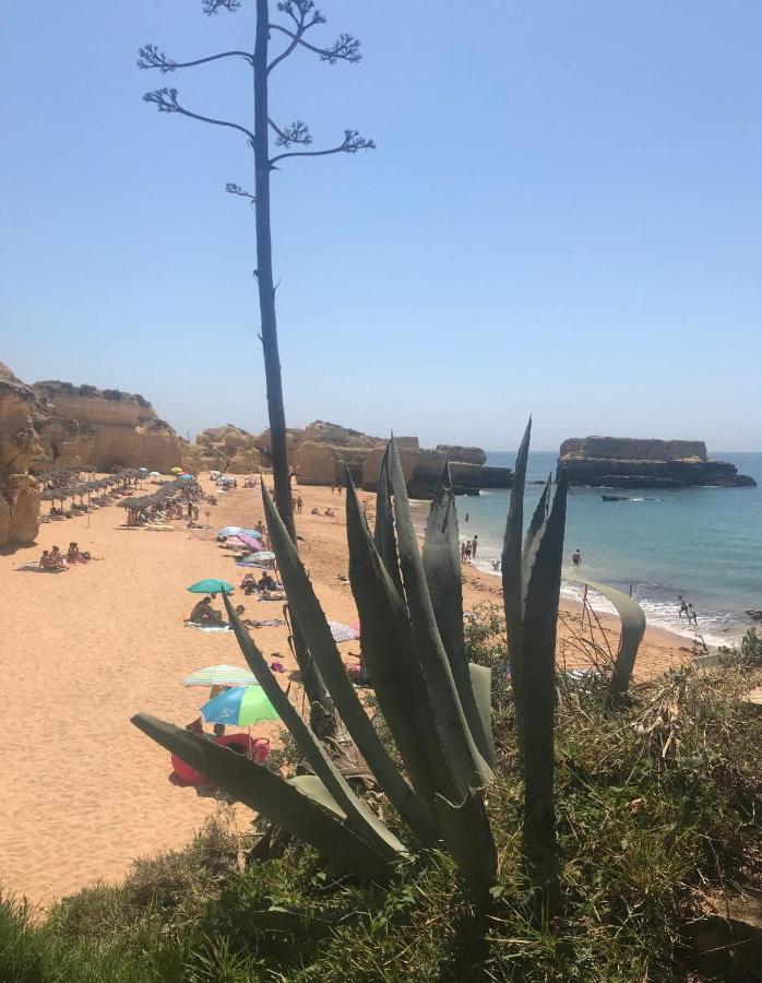 Marina Zen Apartment - Orada, Albufeira Dış mekan fotoğraf